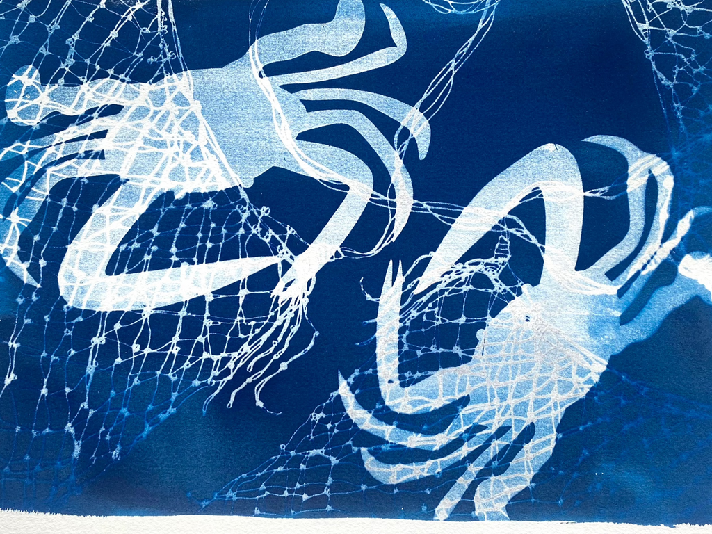 Blue swimmer crabs - print