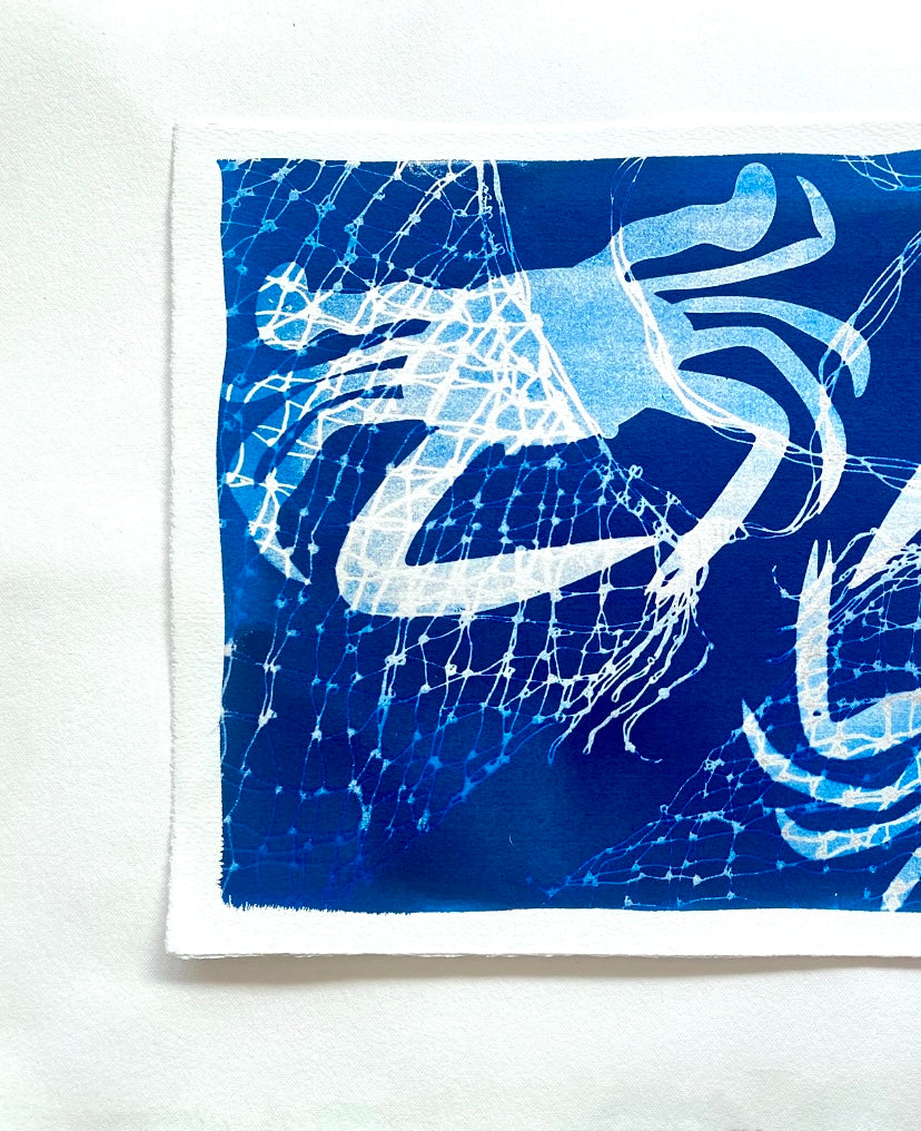 Blue swimmer crabs - print